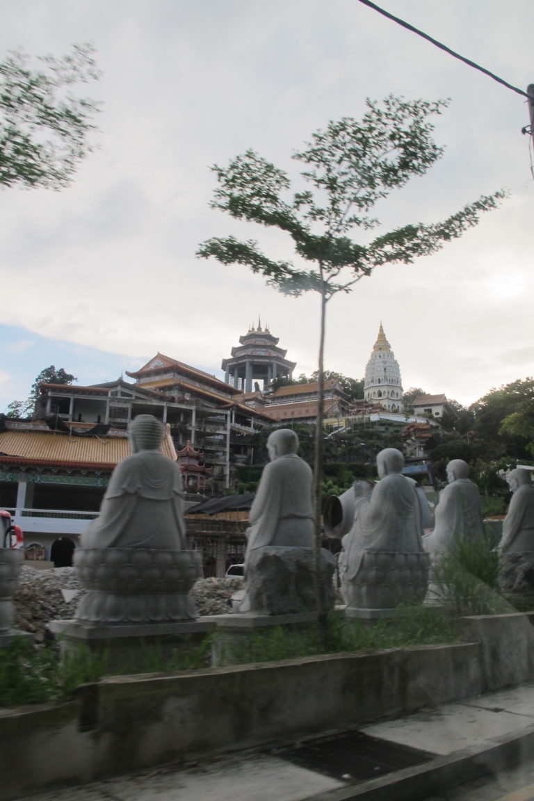 Student Testimonials and Reviews