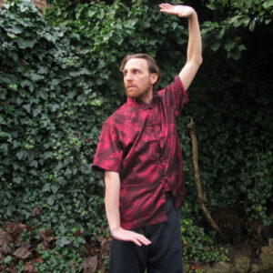 Plucking Stars Qigong Exercise